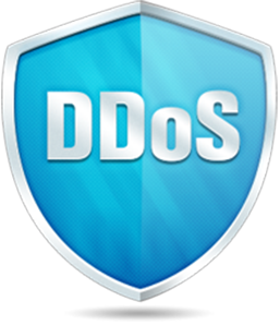 DDoS Protection